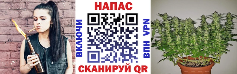 Шишки марихуана MAZAR  Купить  Ачхой-Мартан